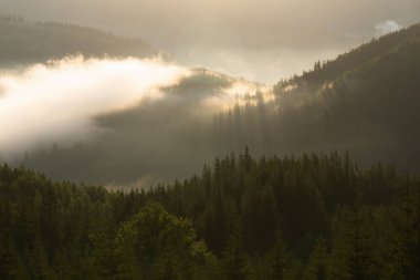 Alçak bulutlarla kaplı güzel bir orman manzarası. Dağ tepelerinde sonbahar sisi. Misty Fall Ormanı. Ormanlı dağ yamacında güneş ışınları.