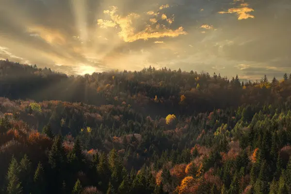 Beautiful Evening Landscape Colorful Autumn Trees Hills Carpathians Ukraine Colored — Stock Photo, Image
