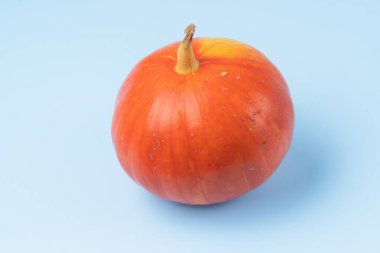 Mavi renkte turuncu balkabağı.