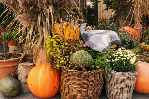 Beautiful autumn street decorations exterior. Flowers in pots, pumpkins and dry grass. Holidays background.