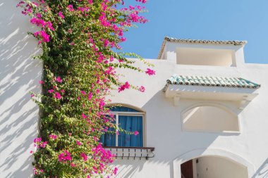 Akdeniz tarzı beyaz bina açık mavi gökyüzünün altında canlı pembe begonvillerle süslenmiş..