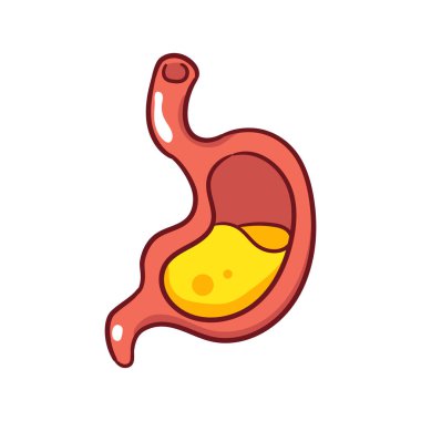 İnsan Mide Organı çizgi filmi. İnsan anatomisi biyoloji organ vücut sistemi. Sağlık ve Tıp Eğitimi nesne tasarımı. El çizimi çizgi film ikonu vektör illüstrasyonu