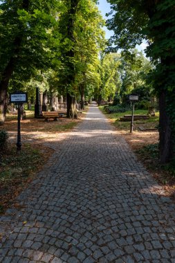 Olsany Mezarlığı, Çek Cumhuriyeti 'nin Prag kentindeki en büyük mezarlıktır ve bir zamanlar iki milyona yakın cenaze töreni düzenlenmiştir. Mezarlık, özellikle dikkat çekici yeni sanat eserleriyle ünlüdür.