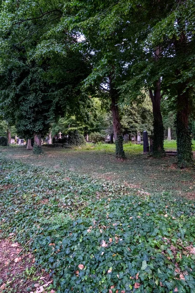 Кладбища Олсаны Являются Крупнейшим Кладбищем Праге Чешская Республика Захороненным Целых — стоковое фото