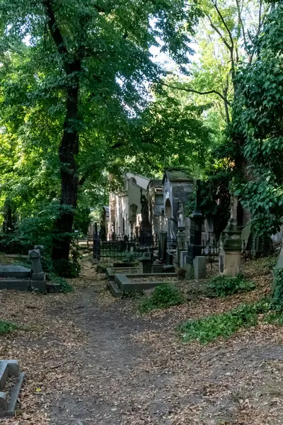 Der Olsany Friedhof Ist Der Größte Friedhof Prag Der Einst — Stockfoto