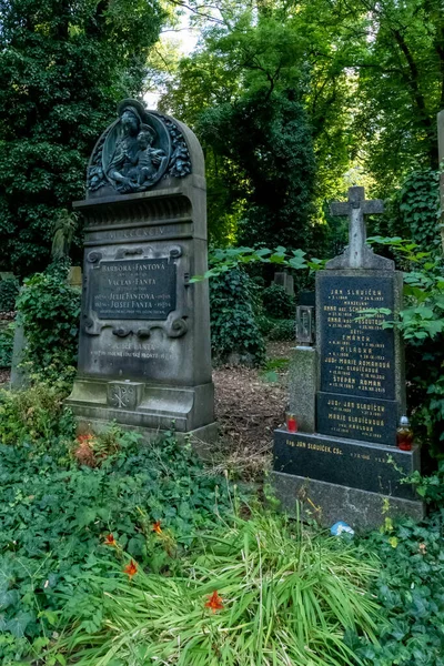 Cmentarze Olsany Największy Cmentarz Pradze Czechach Niegdyś Przeznaczony Dwa Miliony — Zdjęcie stockowe