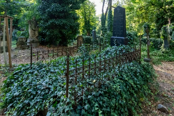 Olsany Cemitérios Maior Cemitério Praga República Checa Uma Vez Previsto — Fotografia de Stock