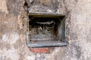 Praha-ikov yük istasyonu, Çek Cumhuriyeti 'nin Prag kentindeki ikov bölgesinde bulunan bir tren istasyonu. İlk olarak 1936 yılında açıldı ve 2002 yılında faaliyetleri durduruldu..