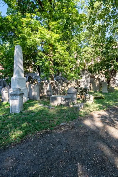 イチョフの古いユダヤ人墓地 いわゆるオランダの最初のユダヤ人墓地は プラハのユダヤ人コミュニティのための疫病埋葬地として1680年に設立されました — ストック写真