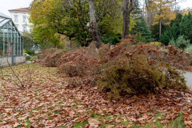 Çek Cumhuriyeti 'nin en eski işletme bahçesi ve Prag' daki üç büyük botanik bahçesinden biri.