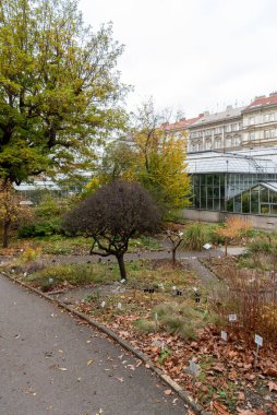 Çek Cumhuriyeti 'nin en eski işletme bahçesi ve Prag' daki üç büyük botanik bahçesinden biri.