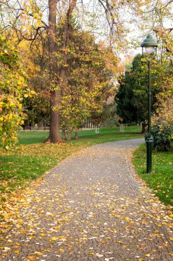 Vltava Nehri 'nin sol kıyısında büyük bir Prag parkı ve Prag 7' nin en büyük ikinci parkı. Yükselen konumu sayesinde, Prag 'daki pek çok anıtı ve önemli yerleri görebiliyoruz..