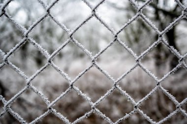 Kışın meydana gelen tehlikeli fenomenlerden biri donmadır. Kar felaketlerinin aksine, sıklıkla sessizce ve dikkat çekmeden gelir, sıklıkla bir basınç düşüşüyle bile duyurulmaz..