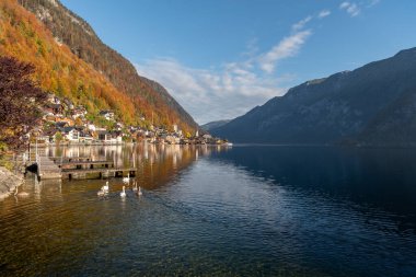 Hallstatt Tuz Madeni dünyanın en eski madenlerinden biridir. 7000 yıldan fazladır burada madencilik devam etmektedir ve bir zamanlar Avrupa 'nın neredeyse tamamını tedarik etmiştir. Madencilik bugüne kadar devam etti..