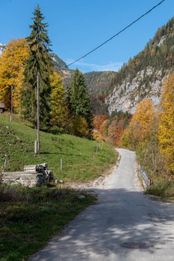 Hallstatt Tuz Madeni dünyanın en eski madenlerinden biridir. 7000 yıldan fazladır burada madencilik devam etmektedir ve bir zamanlar Avrupa 'nın neredeyse tamamını tedarik etmiştir. Madencilik bugüne kadar devam etti..
