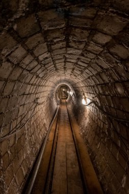 Hallstatt Tuz Madeni dünyanın en eski madenlerinden biridir. 7000 yıldan fazladır burada madencilik devam etmektedir ve bir zamanlar Avrupa 'nın neredeyse tamamını tedarik etmiştir. Madencilik bugüne kadar devam etti..