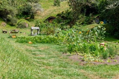 Place where scenes for the legendary film trilogies Lord of the Rings and The Hobbit were filmed. After filming, the entire place was left to a local farming family, who run exhibition for tourists.
