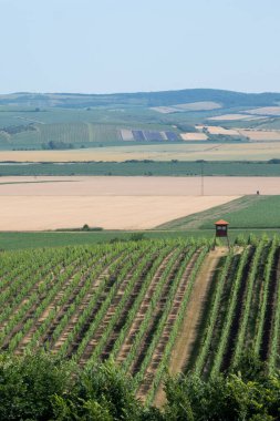 Palava, Çek Cumhuriyeti 'nin Güney Moravya Bölgesi' nde Avusturya sınırında yer alan koruma altındaki bir peyzaj alanı ve UNESCO biyosfer rezervi..