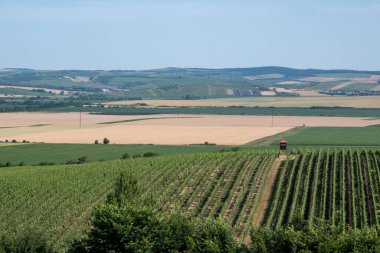 Palava, Çek Cumhuriyeti 'nin Güney Moravya Bölgesi' nde Avusturya sınırında yer alan koruma altındaki bir peyzaj alanı ve UNESCO biyosfer rezervi..