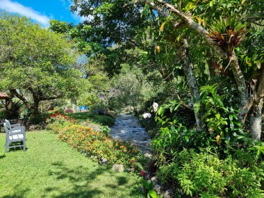 Kosta Rika, Panama sınırındaki tropikal ormandan akan dere kenarındaki banklar.