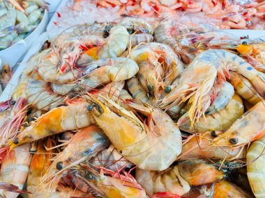 Panama City, balık pazarındaki dev karides tepsisini kapat.