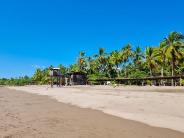 Panama, Las Lajas, plaja bakan mavi gökyüzü olan palmiye ormanı