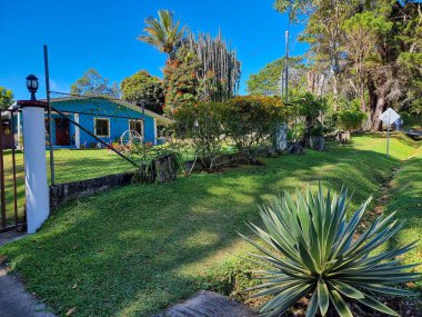 Panama, San Felix, 24 Aralık 2022, güneşli bir günde tropikal bitki ve kaktüslü bahçe evi.