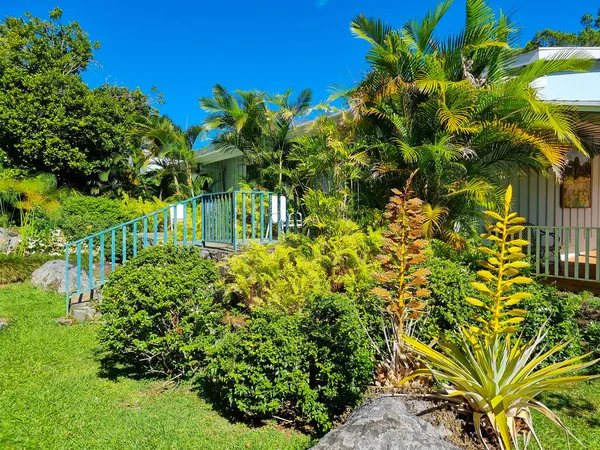 Panama Boquete Ocak 2023 Panamonte Oteli Tropikal Bahçeler — Stok fotoğraf