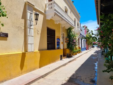 Kolombiya, Santa Marta, 18 Haziran 2023, Bougainvillea, Santo Domingo Caddesi.