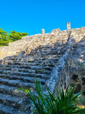 Meksika, Cancun, Maya tapınağı güneşli bir günde San Miguelito arkeolojik alanında