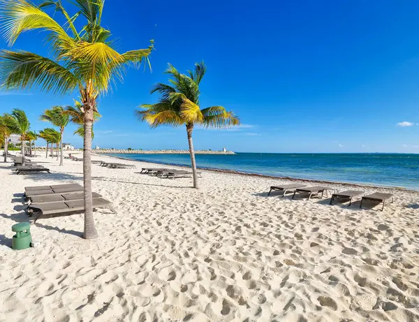 Meksika, New Cancun, güneşli bir günde panoramik plaj manzarası