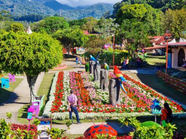 Panama, Boquete, 15 Ocak 2024, 51. Çiçek Fuarı 'nın en üst manzarası.