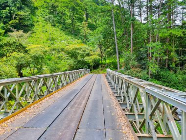Panama, Boquete, ormandaki demir köprü, panoramik manzara