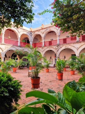 Kolombiya, Kartagena de Indias, 17 Ekim 2024, La Popa manastırının avlusunda bitkiler