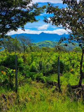 Panama, Boquete, volkanik tepeler güneşli bir günde yoğun tropikal bitki örtüsüyle kaplı.