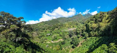 Panama, Boquete, güneşli bir günde Baru volkanı yamaçlarının panoramik manzarası