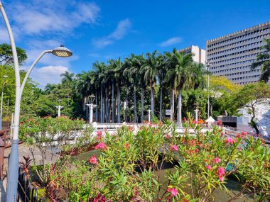 Kolombiya, Cali, 28 Temmuz 2024, Kolombiya yaya bulvarında palmiye ağaçları