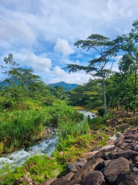 Panama, Boquete, volkan vadisi ve Caldera deresi tropikal ormanda akıyor.