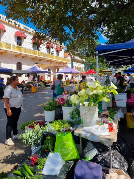 Panama, David, 26 Ekim 2024, çiçek, bitki ve meyve ve sebze pazarı