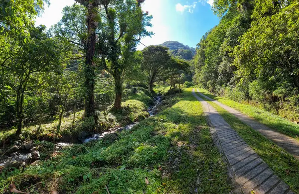 Panama, Boquete, güneşli bir günde tepeler arasında katır rayı