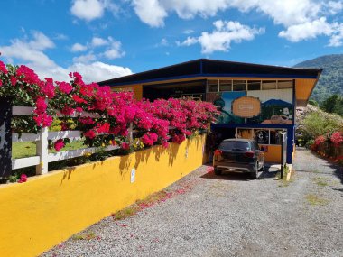 Panama, Boquete, 3 Mart 2025, Red Bouganville Otel 'in girişinde.
