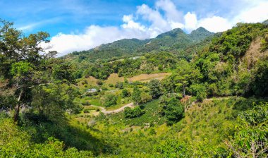 Panama, Boquete, 10 Nisan 2025, volkanik tepeler ve vadiler kahve bitkileriyle ekildi.