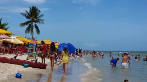 Santa Cruz Cabralia Brasilien Januari 2023 Promenader Coroa Vermelha Stranden — Stockvideo