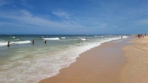 Trancoso Distretto Porto Seguro Brasile Gennaio 2023 Passeggiata Sulla Spiaggia — Video Stock