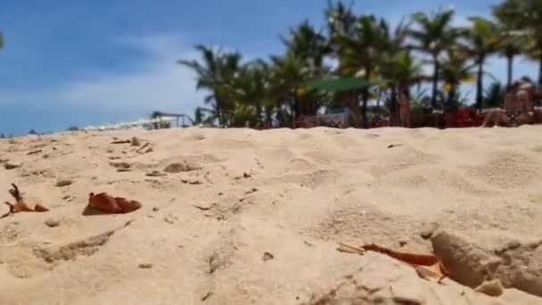 Moving Close Sand Beach Sunny Day Concept Day Beach Recorded — Vídeos de Stock
