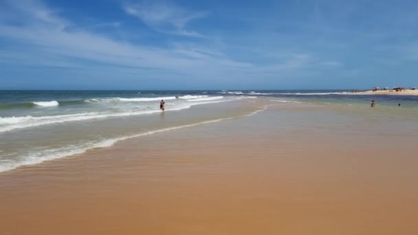 Bella Giornata Sole Una Spiaggia Brasiliana Spiaggia Nativos Trancoso Distretto — Video Stock