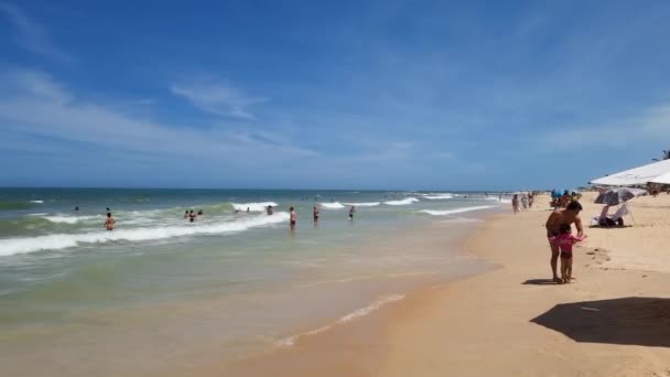 Trancoso District Porto Seguro Brazil January 2023 View Nativos Beach — Stock Video