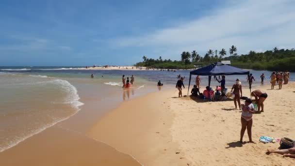 Trancoso District Porto Seguro Brazil January 2023 People Nativos Beach — Wideo stockowe