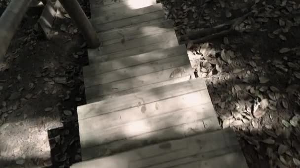 Point View Going Wooden Stairs Some Fallen Leaves — Stock video