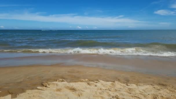 Vue Sur Plage Praia Espelho Célèbre Destination Touristique Caraiva Côte — Video